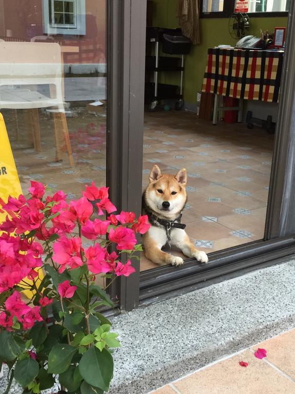 Lei Mi Er Hua Yuan Min Su Apartman Pinghe Kültér fotó